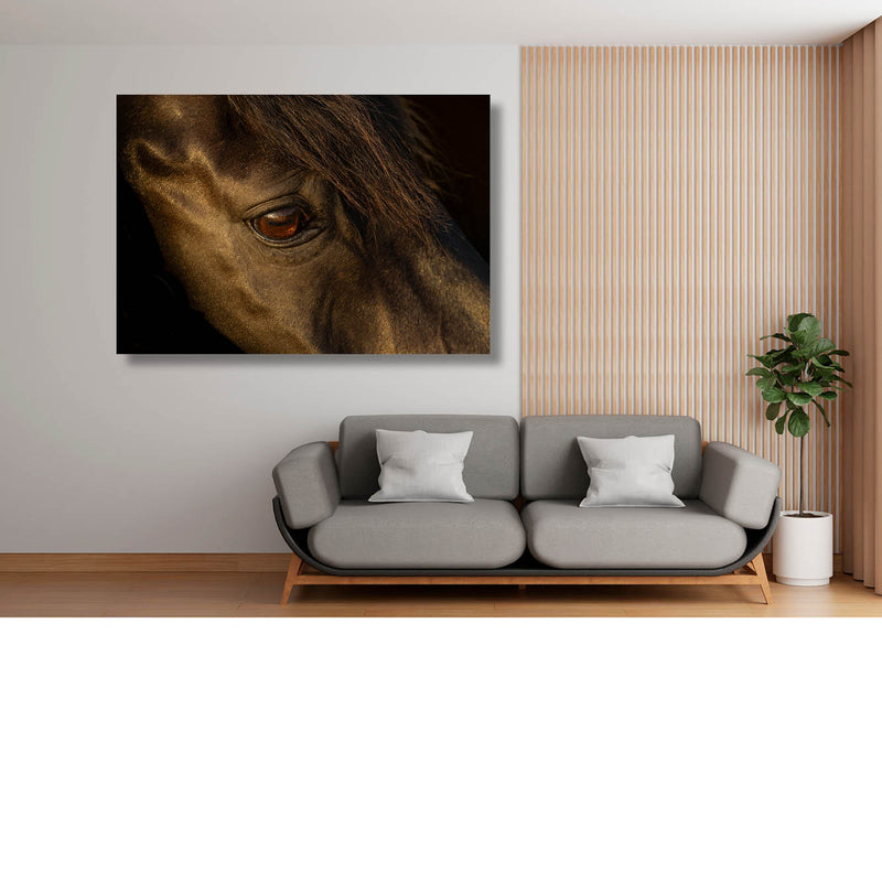 Paarden portret