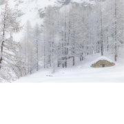 Chalet in de sneeuw
