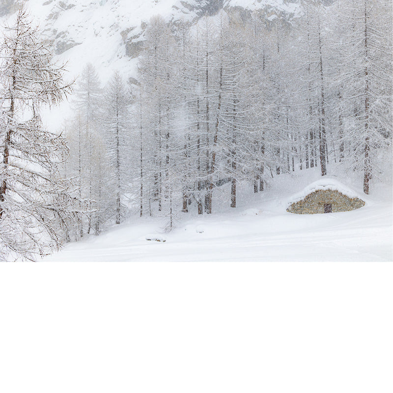 Chalet in de sneeuw