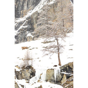 Winter landschap van gems