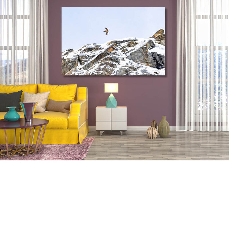 Lammergier boven de Alpen