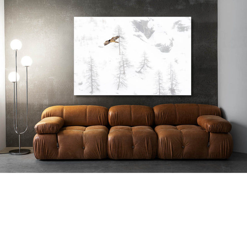 Lammergier in sneeuwlandschap