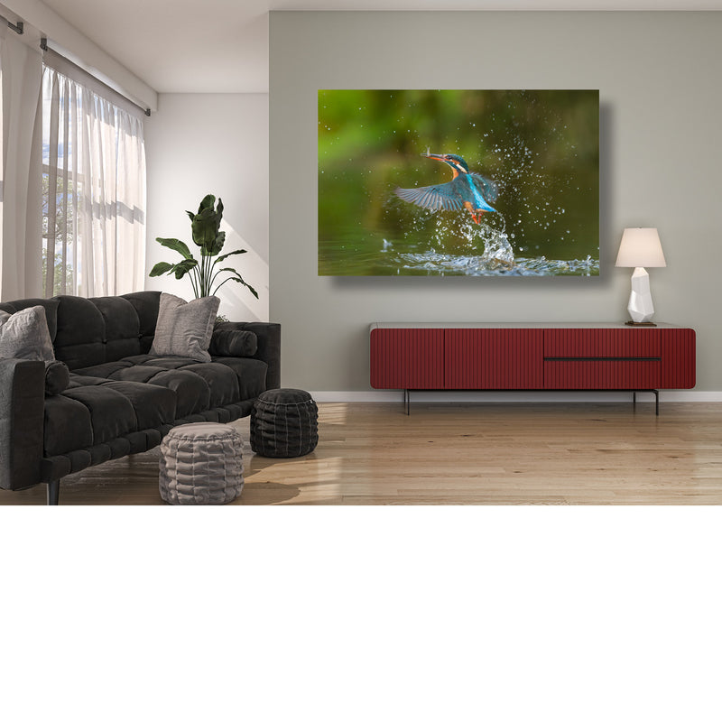 IJsvogel vol waterparels
