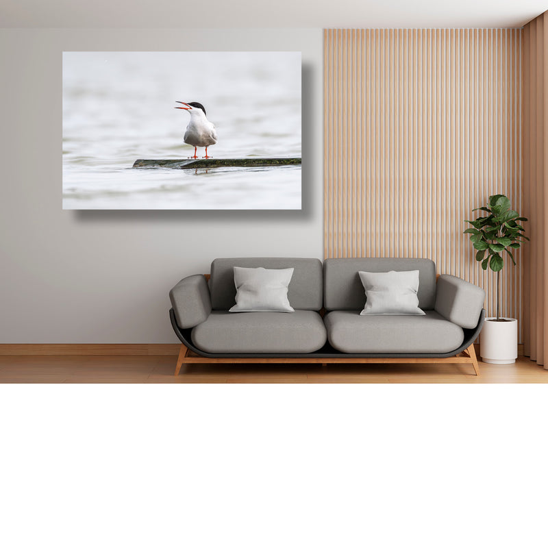 De roep over het water