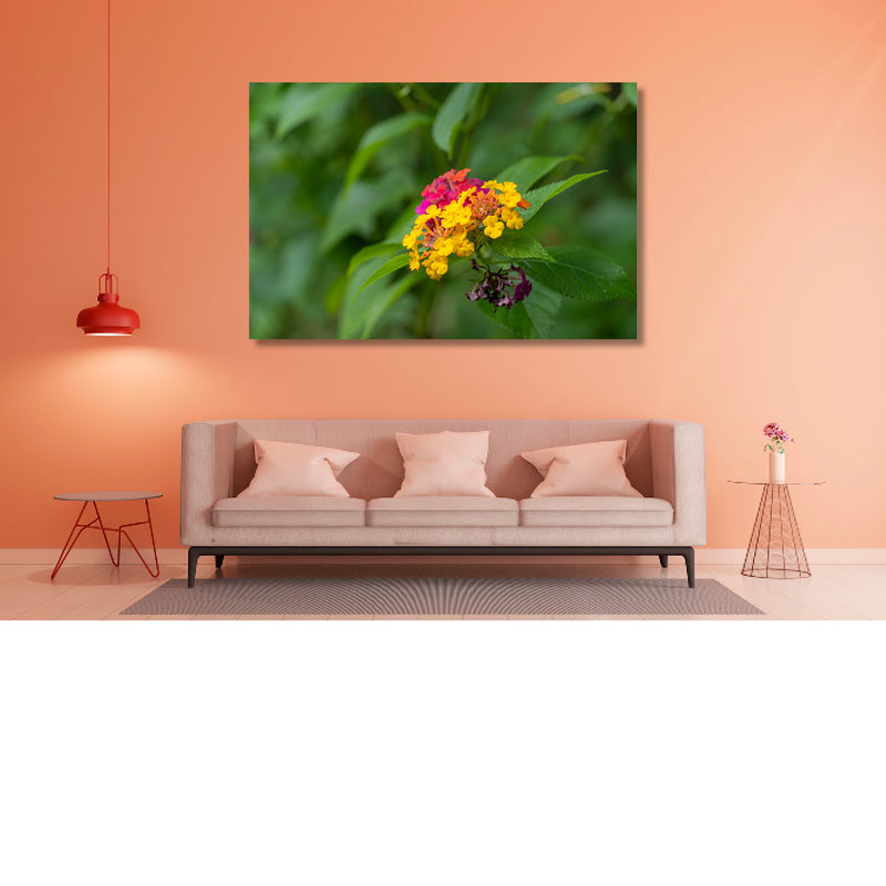 Lantana in bloei