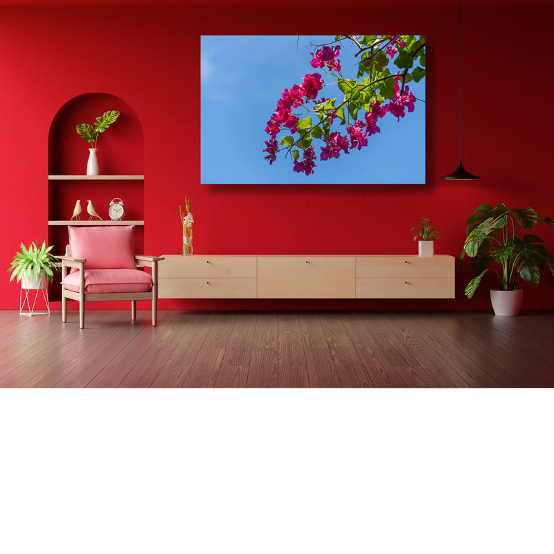 Roze tegen blauw