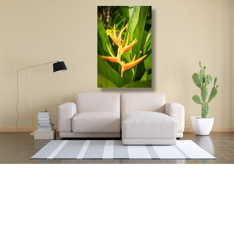 Tropische heliconia