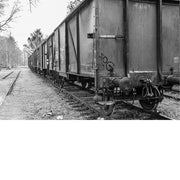 Zwart-witfoto van een rij oude goederenwagons op een verlaten spoorlijn