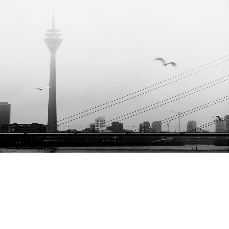 Zwart-witfoto van een stad in mist met zendmast, brugkabels en vliegende vogels boven de rivier.