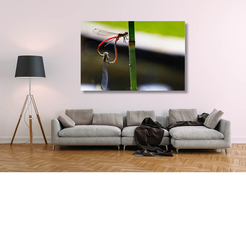 Love is all around us