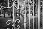 Zwart-witfoto van een sierlijk ijzeren hek met zicht op een park en kronkelende beek.