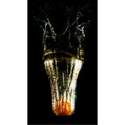 Dynamische opname van een sinaasappel die in water valt, met spectaculaire spetters en belichting tegen zwarte achtergrond.