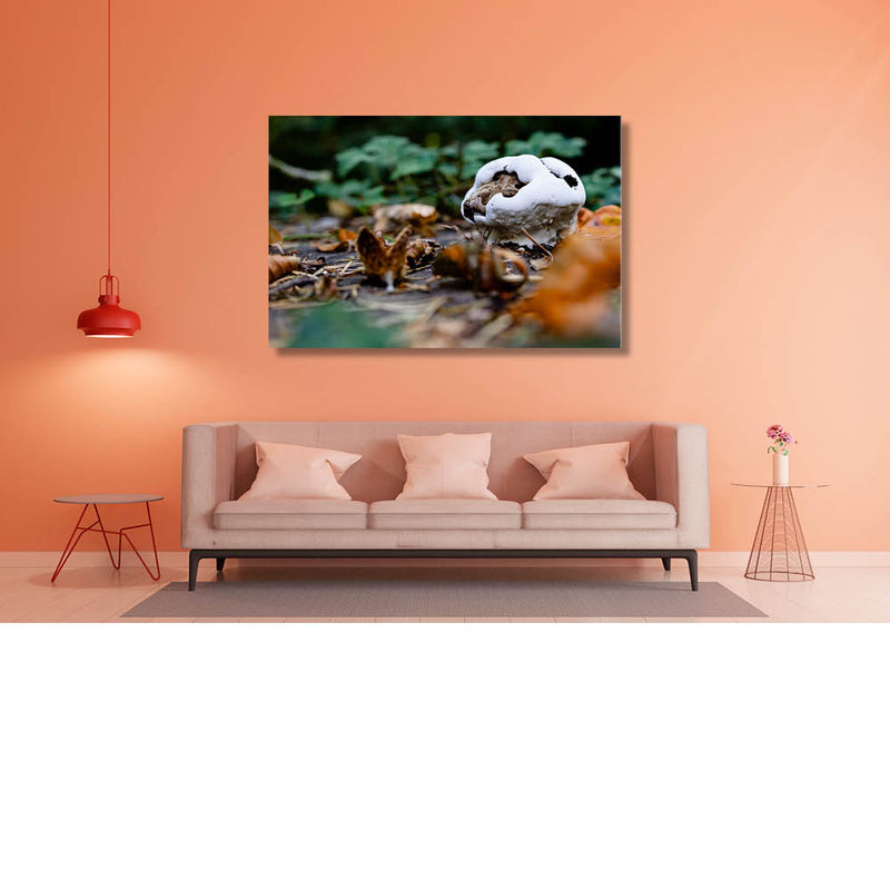 Aftakeling van schoonheid