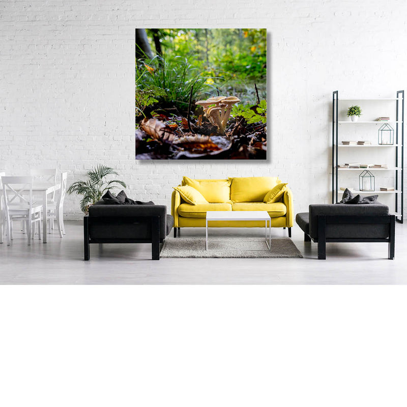 Groep paddenstoelen in herfstbos