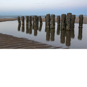 Foto van houten palen bedekt met mosselen en zeewier, weerspiegelend in stilstaand water op het strand.