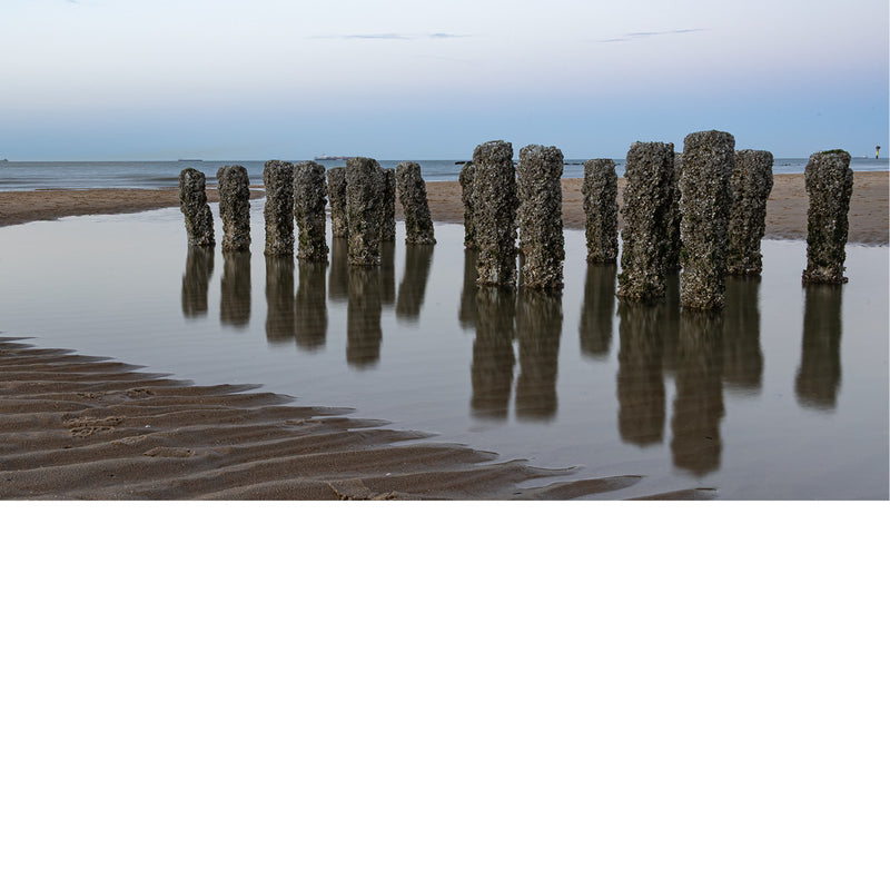 Foto van houten palen bedekt met mosselen en zeewier, weerspiegelend in stilstaand water op het strand.