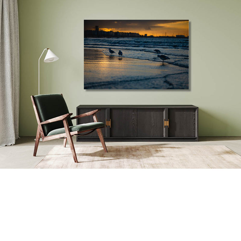 Meeuwen aan de kust bij zonsondergang