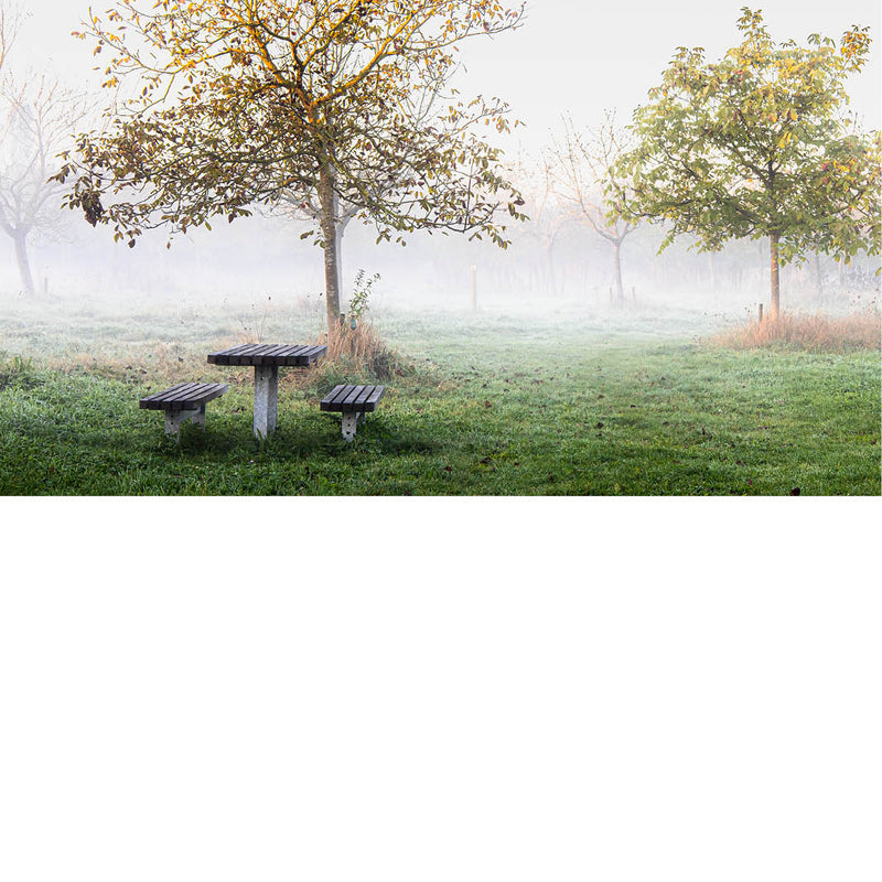 Een verlaten picknickbank staat in een zachte, wit omhulde ochtendmist in een rustige boomgaard. De frisse groentinten en het stille landschap geven de foto een ingetogen en serene sfeer.