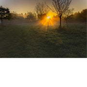 Intense zonnestralen breken door de bomen in een mistige ochtendweide. Het landschap baadt in warme tinten en zachte nevel, wat een krachtige en sfeervolle compositie oplevert.