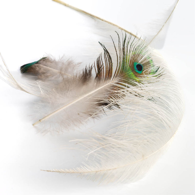 Een lichte, elegante compositie van delicate veren, met centraal een opvallende pauwveer waarvan het iriserende oog in groen-blauw subtiel schittert tegen een zachte, high-key achtergrond. 