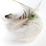 Een lichte, elegante compositie van delicate veren, met centraal een opvallende pauwveer waarvan het iriserende oog in groen-blauw subtiel schittert tegen een zachte, high-key achtergrond. 