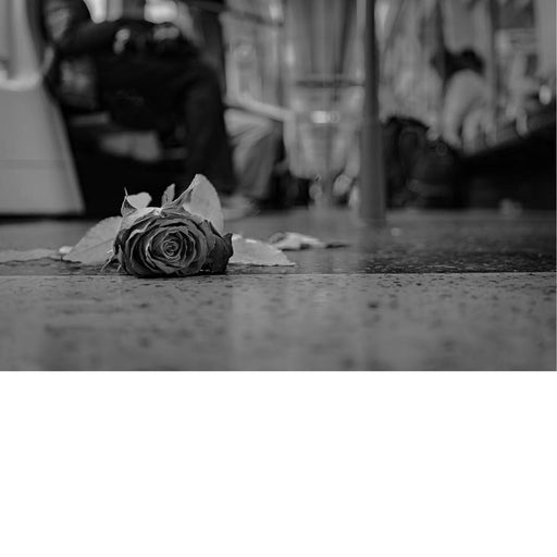 Op de vloer van een druk metrostel ligt een eenzame roos, scherp in beeld gebracht tegen een zachte achtergrond van zittende reizigers die in bewegingsonscherpte vervagen. Het lage standpunt versterkt het emotionele gewicht van de scène: de kwetsbaarheid van de bloem contrasteert met de harde, industriële omgeving van het voertuig.