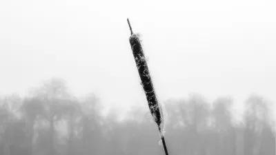 Fakkel, de foto