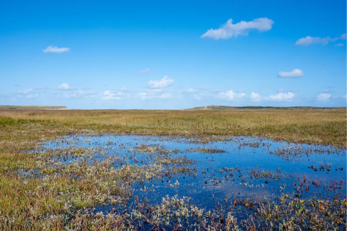 Blauwe plas tussen rood en groen begroeide kwelder, met een blauwe lucht en witte wolkjes