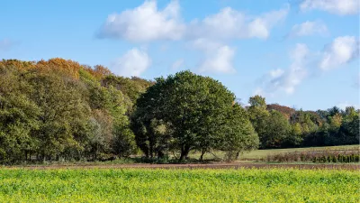 Vroege herfst, de foto