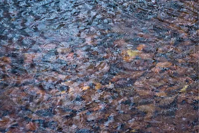 Onder water, de foto