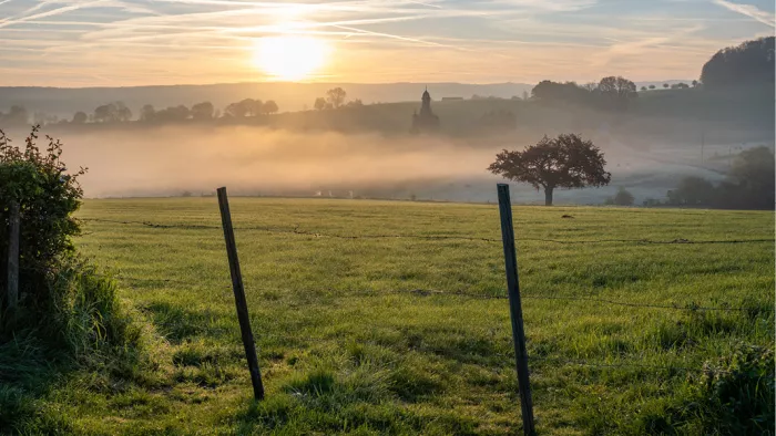 Weiland met paaltjes bij zonsopgang en een kerktoren in de nevel in de verte
