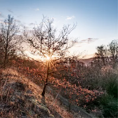 Zonnestralen, de foto