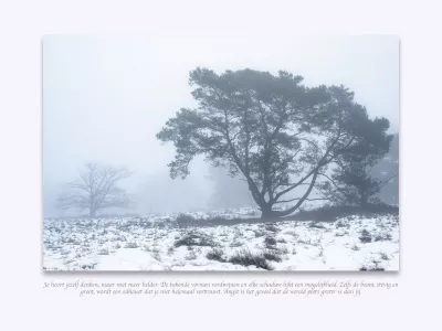 Winterse mist over de heide, de foto