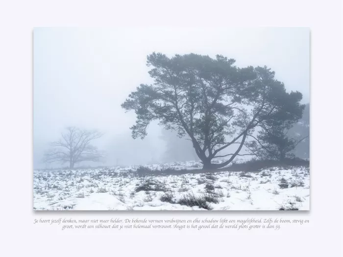 Den en kale boom in de mist boven een besneeuwde heide, met een regel tekst eronder