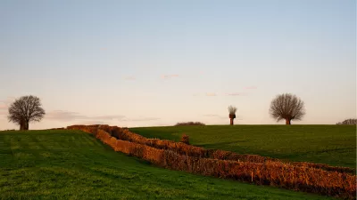 Glooiend landschap met meidoornheg in de avondzon, de foto