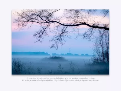 Kale takken boven een veld in ochtendmist, de foto