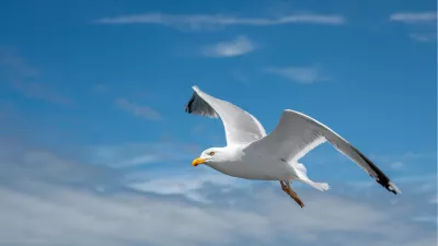 Glijvlucht Tussen de Wolken, de foto