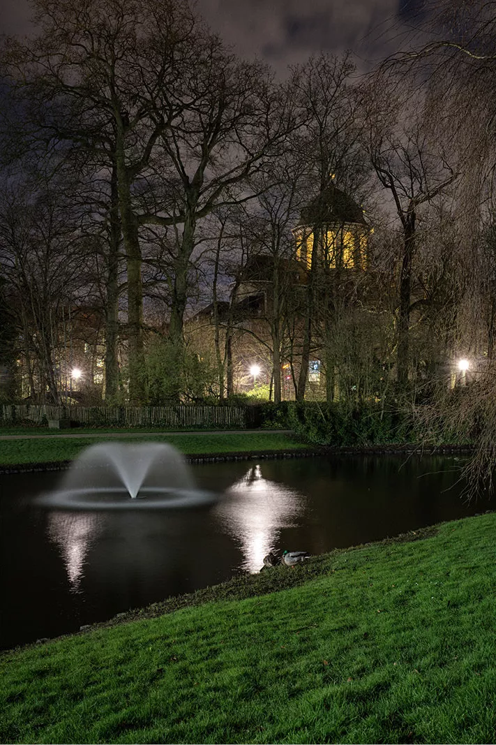 Fontein in een vijver van de Kruidtuin in Mechelen 's nachts, met kale bomen, lantaarns en een verlicht gebouw met koepel