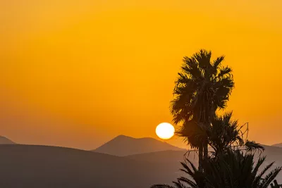 Vuurbol achter de palm, de foto