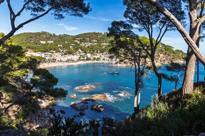Turkooise baai met rotsen, strand en witte huizen, gezien tussen pijnbomen aan de Costa Brava