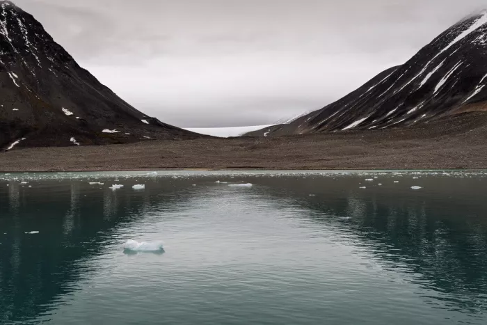 Stil fjordwater met drijvend ijs tussen twee donkere bergen, met een witte gletsjer in de verte onder een grijze lucht.