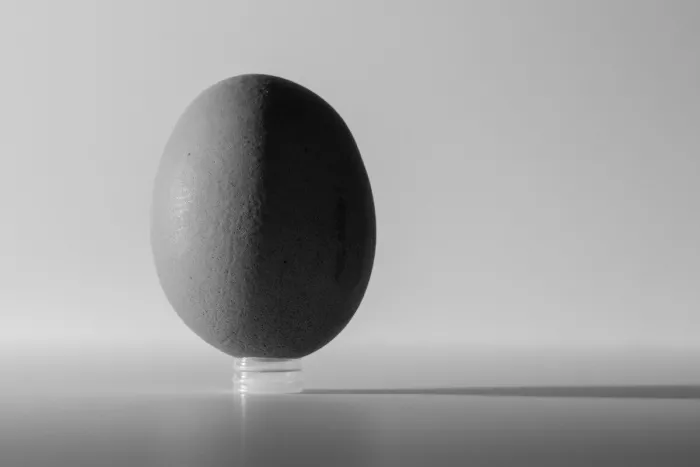 Zwart-witfoto van een ei dat rechtop op een klein doorzichtig plastic dopje staat, half in licht en half in schaduw.