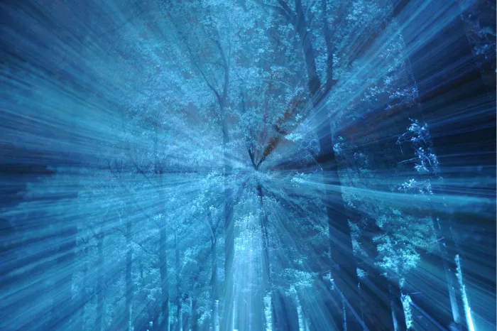 Bomen in blauw licht met lichtstralen die vanuit het midden uitwaaieren door een zoomeffect