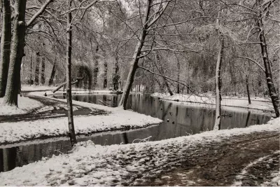 Park van Boom in de winter, de foto
