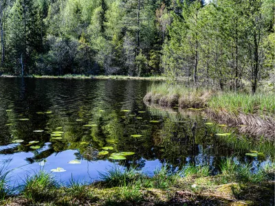 Meer en bos, de foto