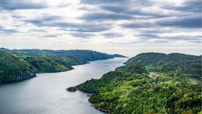 Fjord loopt tussen beboste heuvels naar de horizon onder een bewolkte lucht