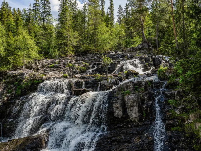 Waterval stroomt in trappen over donkere rotsen onder een sparrenbos