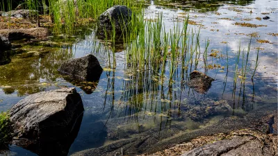 Wat is de natuur toch mooi, de foto
