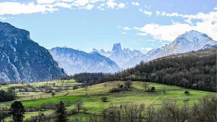 Groene weiden met bomen voor steile grijze bergen en besneeuwde toppen