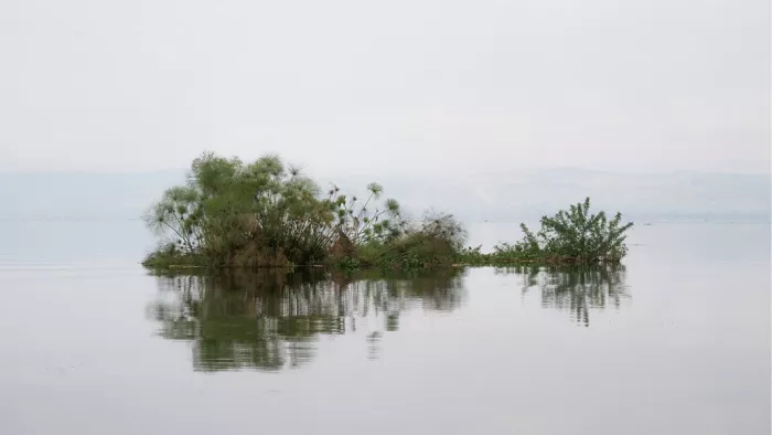 Klein begroeid eilandje spiegelt in kalm water in een lichte nevel